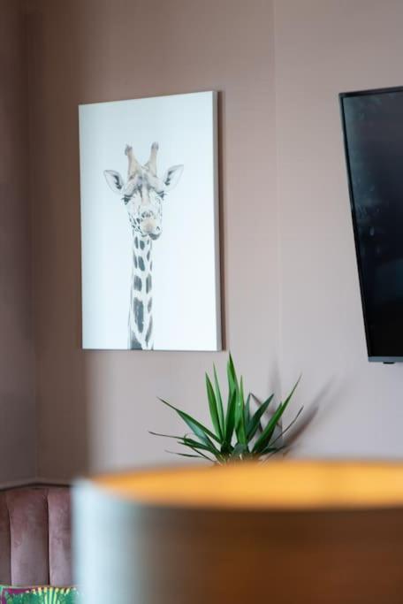הרן ביי Stylish Beachfront Apartment, Sweeping Ocean Views And Luxury Touches מראה חיצוני תמונה